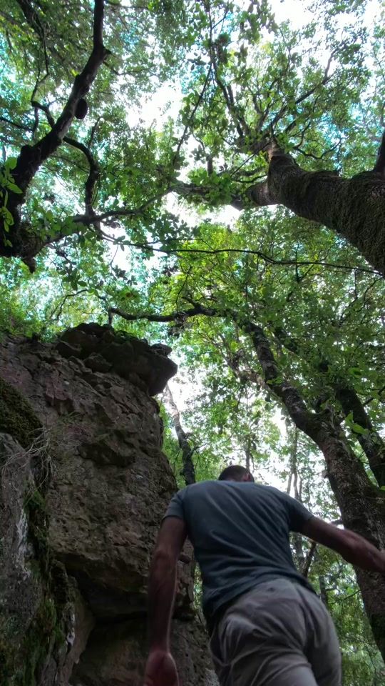 TikTok video thumbnail by breezeintheleaves