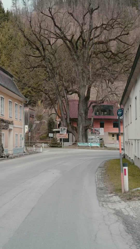 TikTok video thumbnail by marderjagdverein_soding