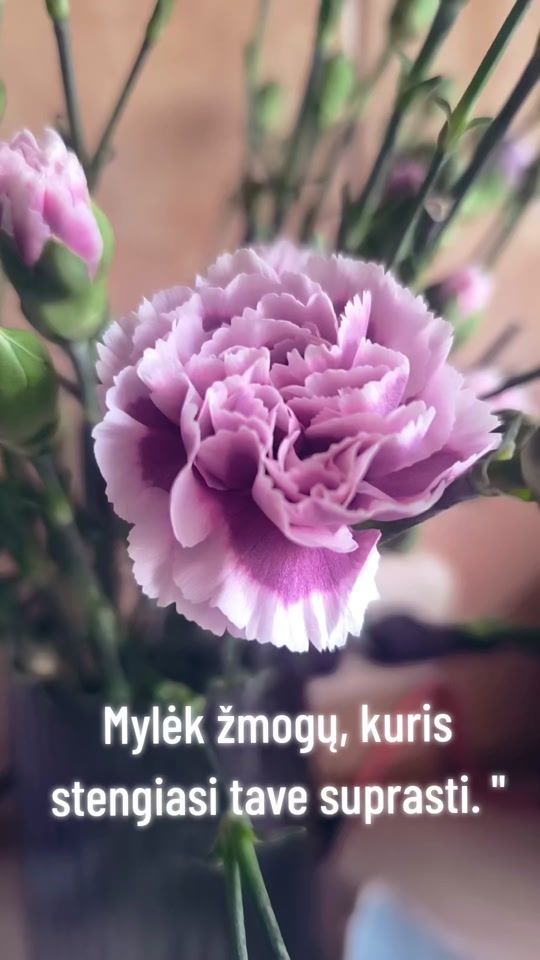 TikTok video thumbnail by violeta.violeta0