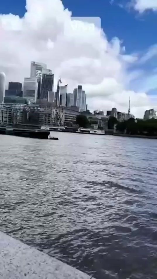 TikTok video thumbnail by vivaabdula