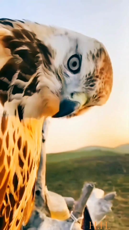 TikTok video thumbnail by user1306777299418