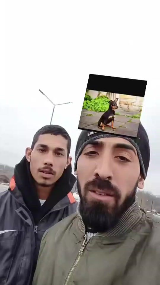 TikTok video thumbnail by toshko9090