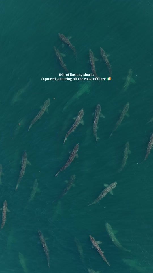TikTok video thumbnail by dublin_drone