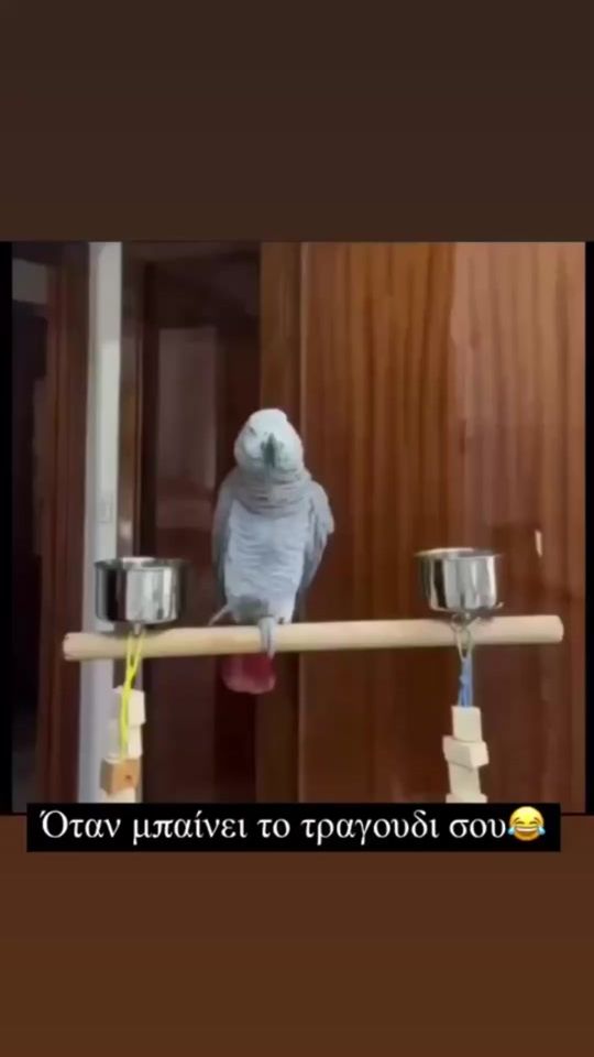 TikTok video thumbnail by asteia_22