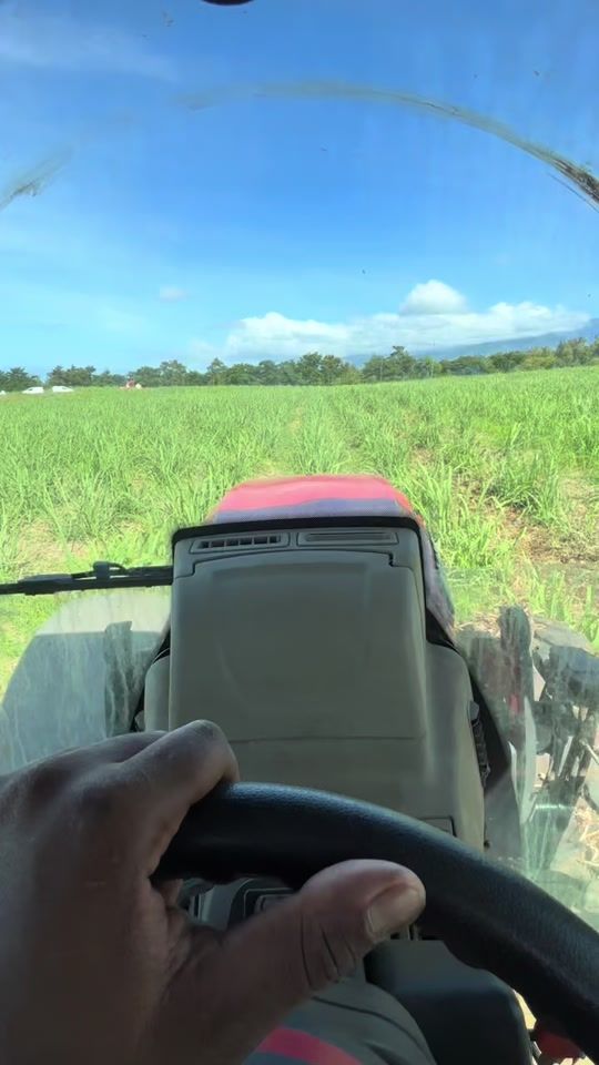 TikTok video thumbnail by jmragri