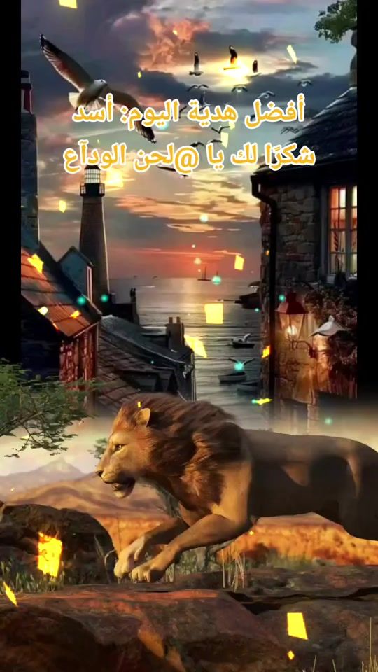 TikTok video thumbnail by hamodii2016