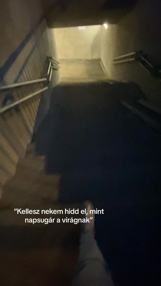 TikTok video thumbnail by regicso