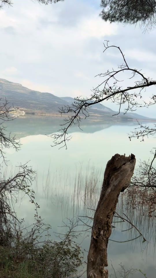 TikTok video thumbnail by barberov8