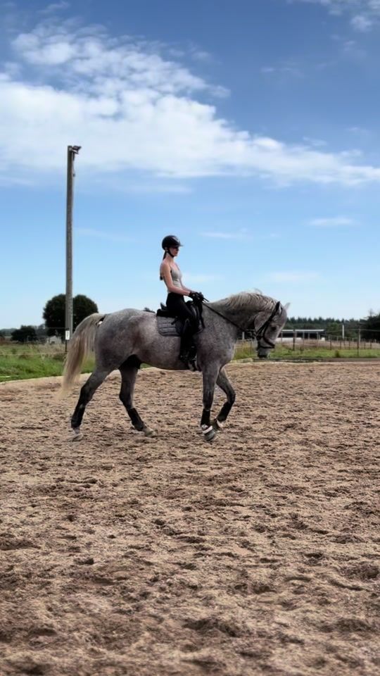TikTok video thumbnail by s.q_equipe