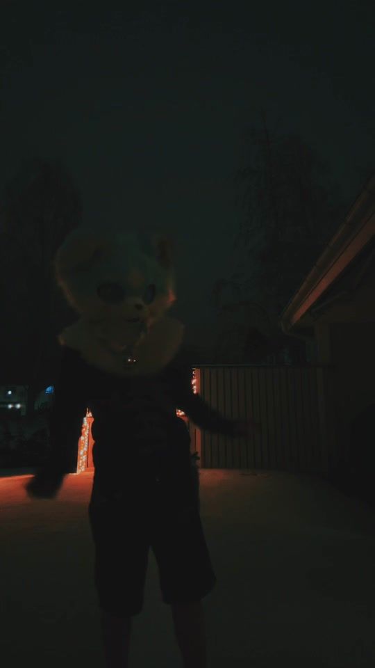 TikTok video thumbnail by 5illycatz