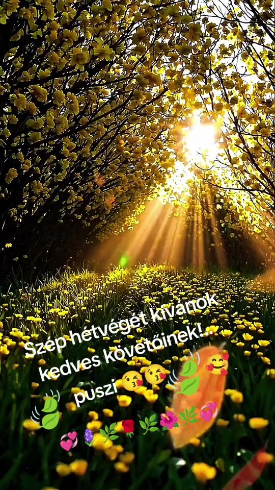 TikTok video thumbnail by marika.terike.2