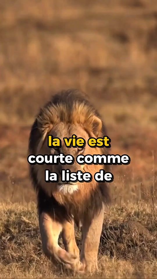 TikTok video thumbnail by 7motiv_2