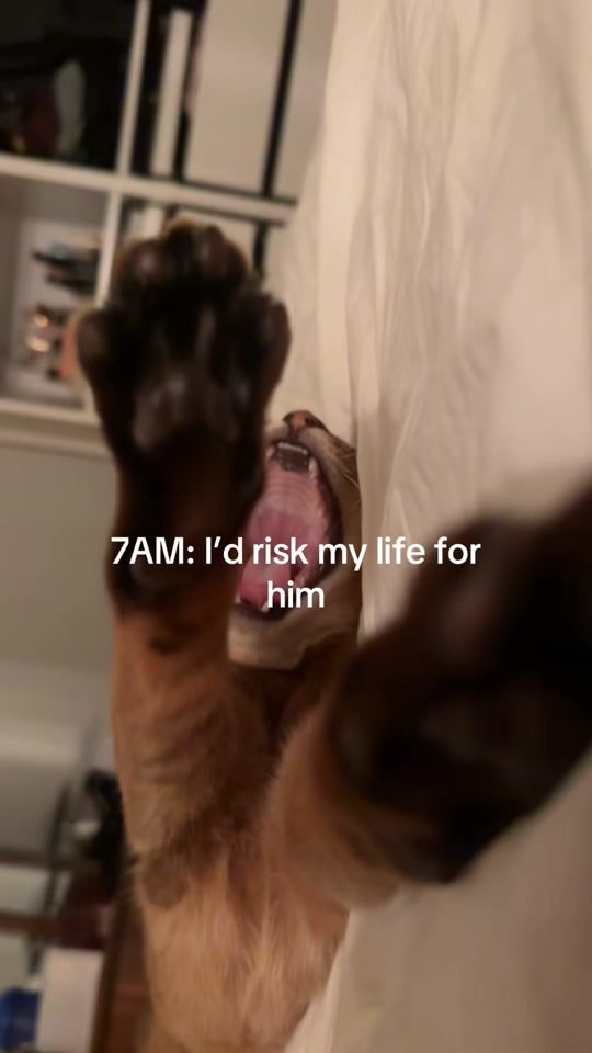 TikTok video thumbnail by mathildearanda