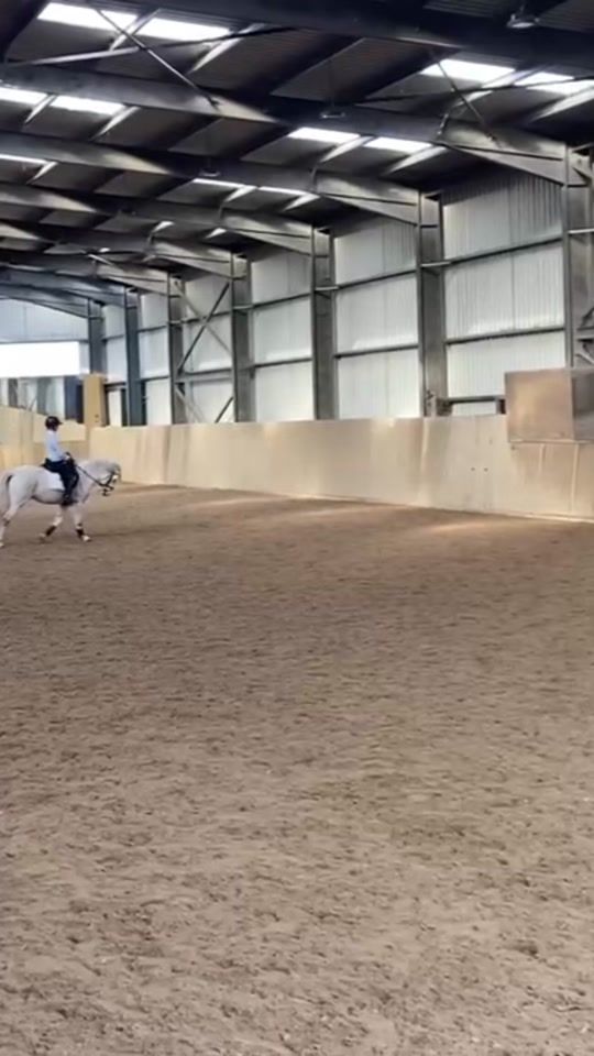TikTok video thumbnail by lauraequestrian11