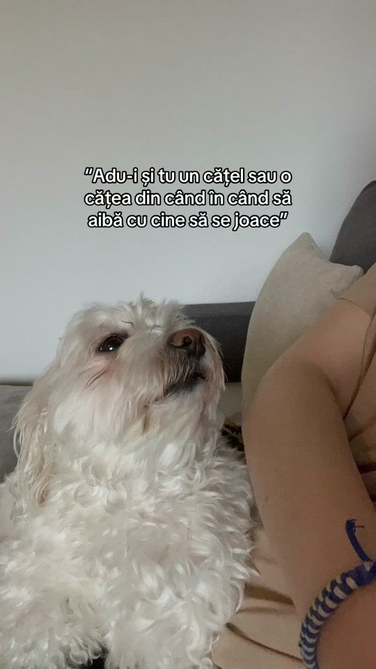 TikTok video thumbnail by denisacristea10