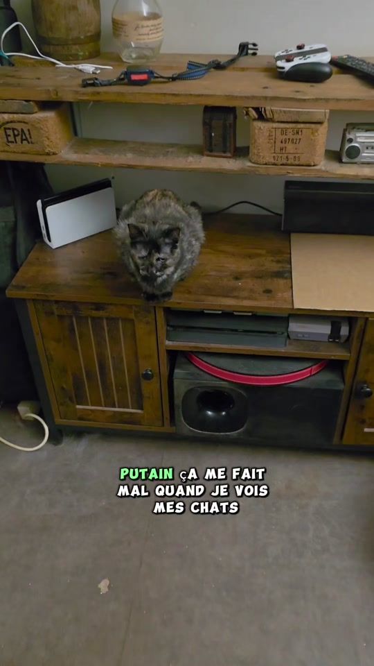 TikTok video thumbnail by clochette.andcie