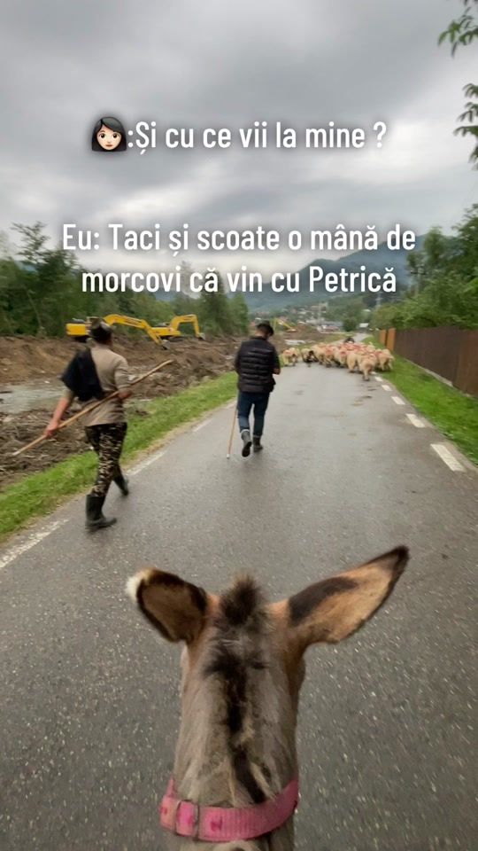 TikTok video thumbnail by mineru36