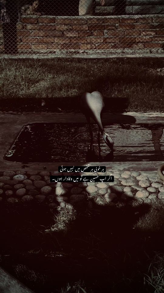 TikTok video thumbnail by ghamjan_writes18