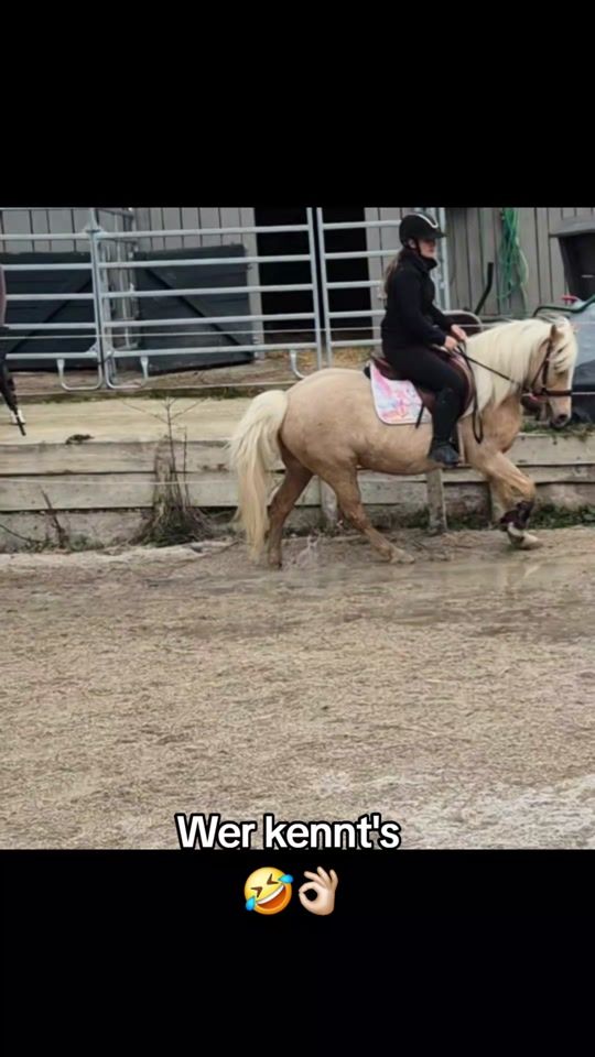 TikTok video thumbnail by showriderlove