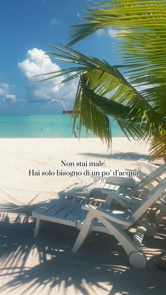 TikTok video thumbnail by maldive_low_cost