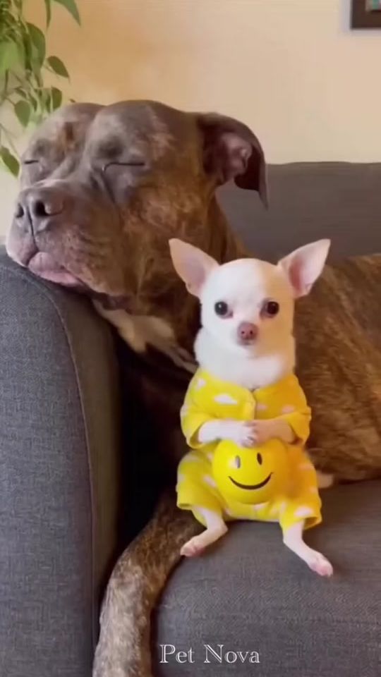 TikTok video thumbnail by xana3282