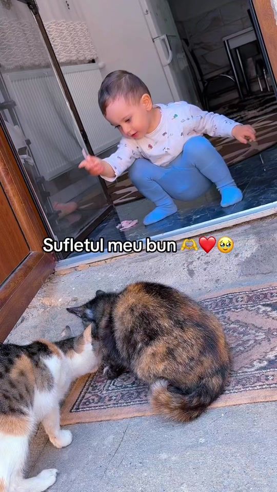 TikTok video thumbnail by .alle_alexandra