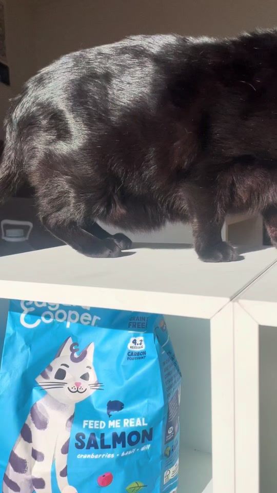 TikTok video thumbnail by cat.alekai