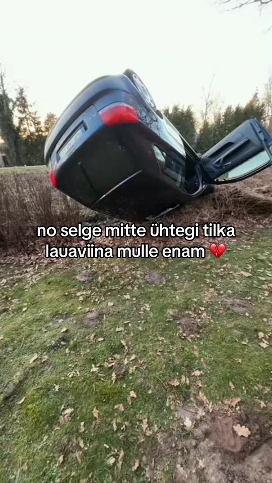 TikTok video thumbnail by jandermemez