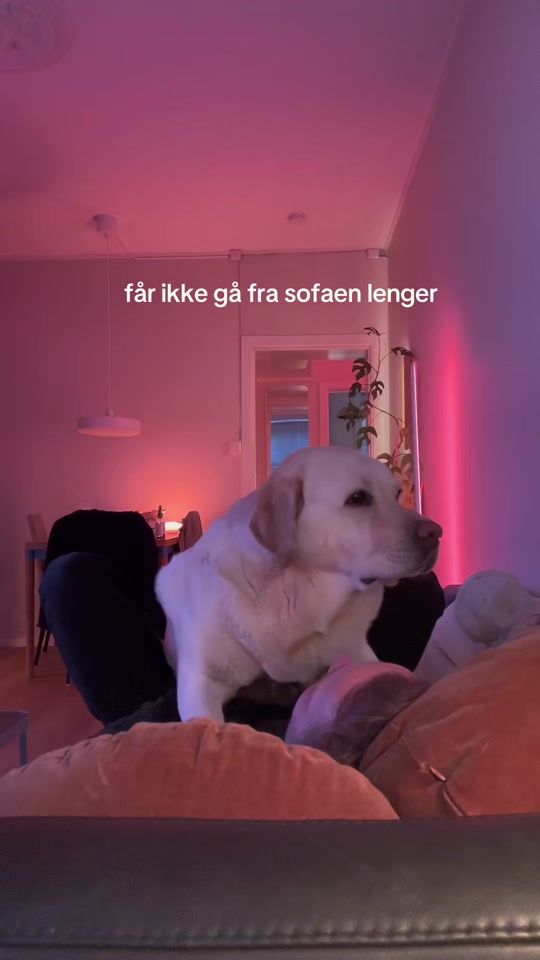 TikTok video thumbnail by steffen.og.olav