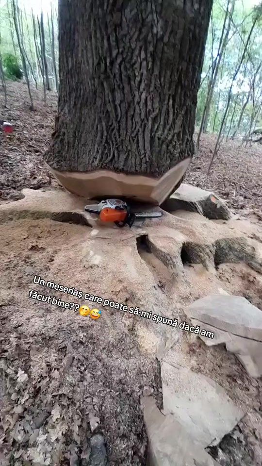 TikTok video thumbnail by _mario_tafistul_