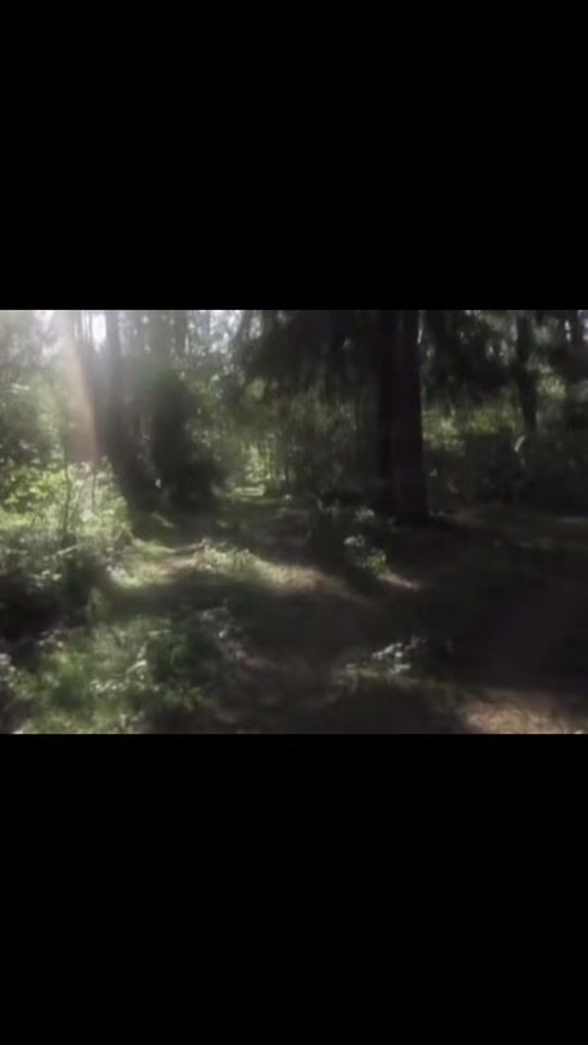 TikTok video thumbnail by miilxxw69