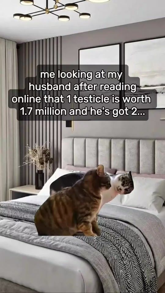 TikTok video thumbnail by petpawmemes