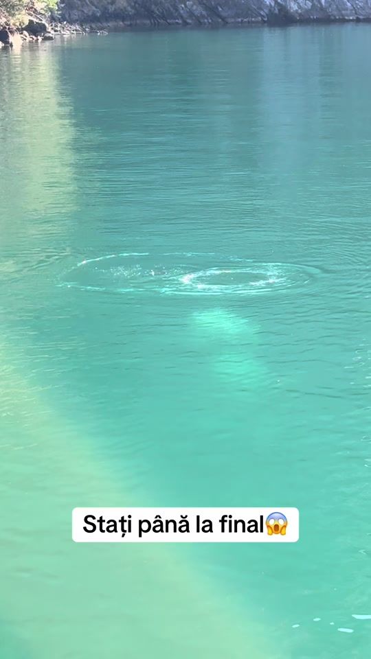 TikTok video thumbnail by ionut_toader18