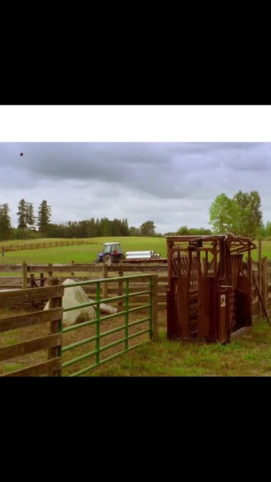 TikTok video thumbnail by _bob1k_67