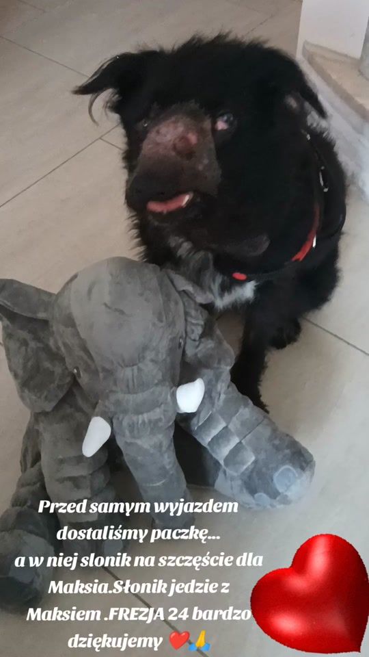 TikTok video thumbnail by iwka.pol111