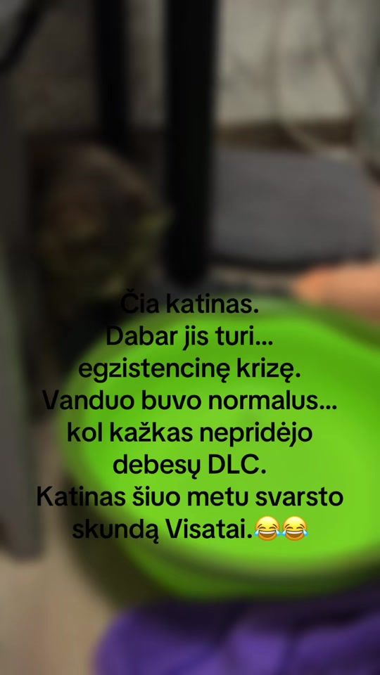 TikTok video thumbnail by capric0rn_35