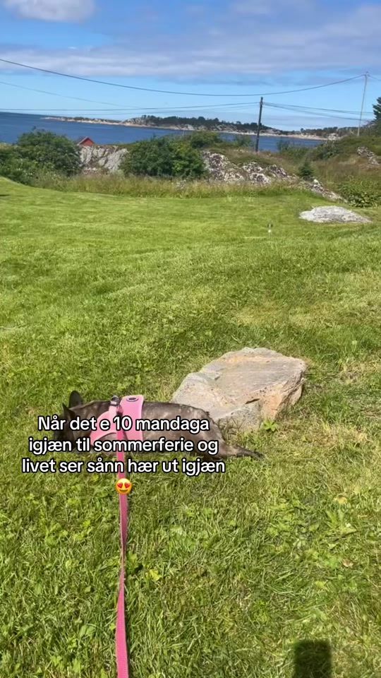 TikTok video thumbnail by isabellfoss