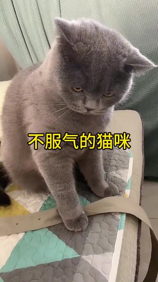 TikTok video thumbnail by hamxu_k