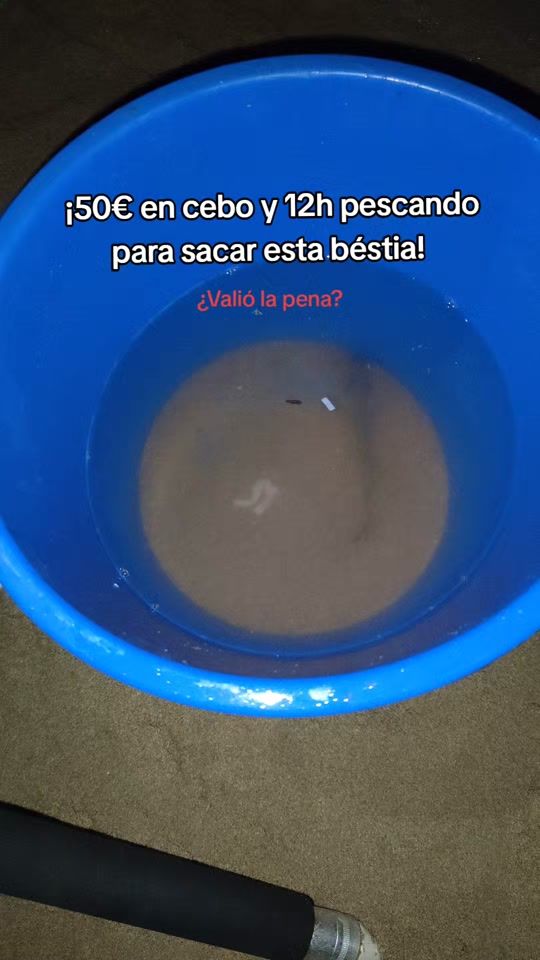 TikTok video thumbnail by memesdepesca