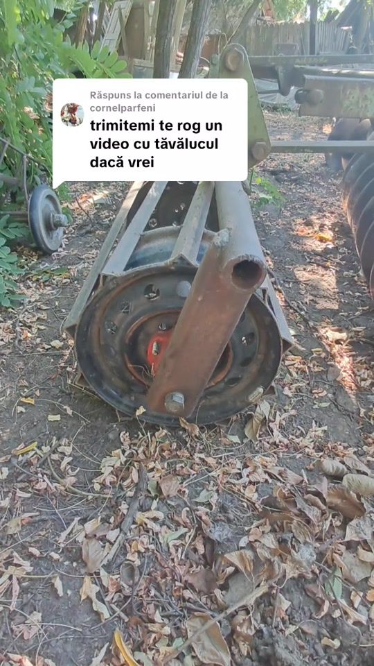 TikTok video thumbnail by radu.agro.romania