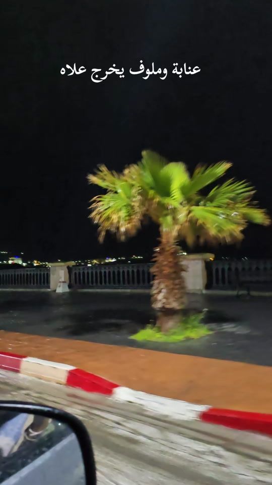 TikTok video thumbnail by seraidi.live.z