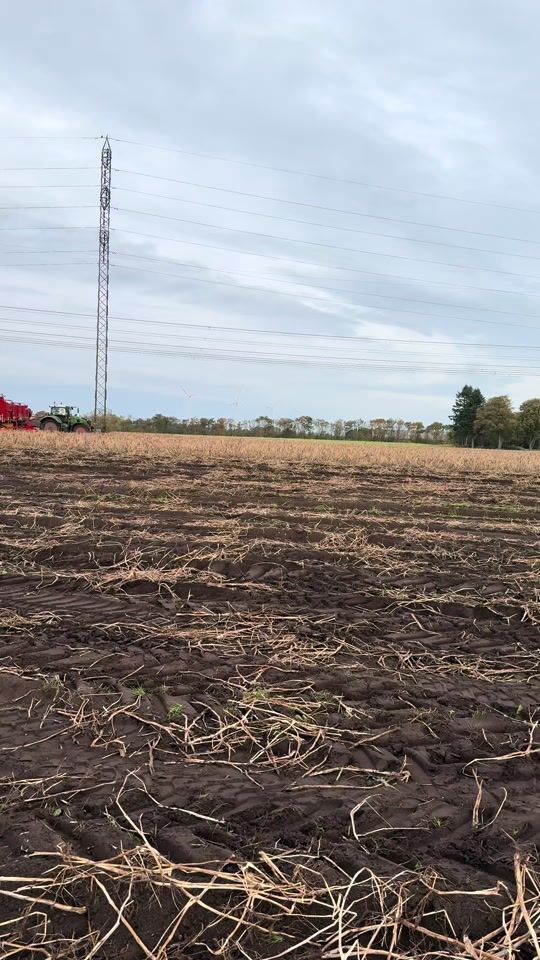 TikTok video thumbnail by emilegsgaard