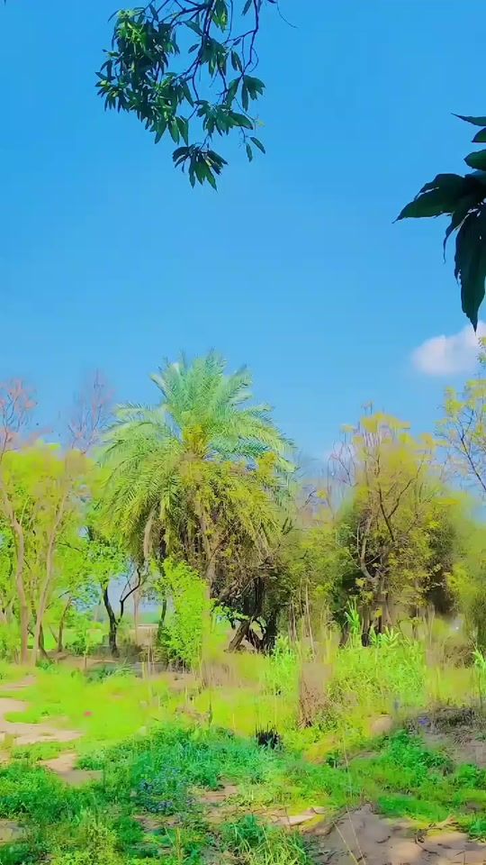 TikTok video thumbnail by umarwahga1