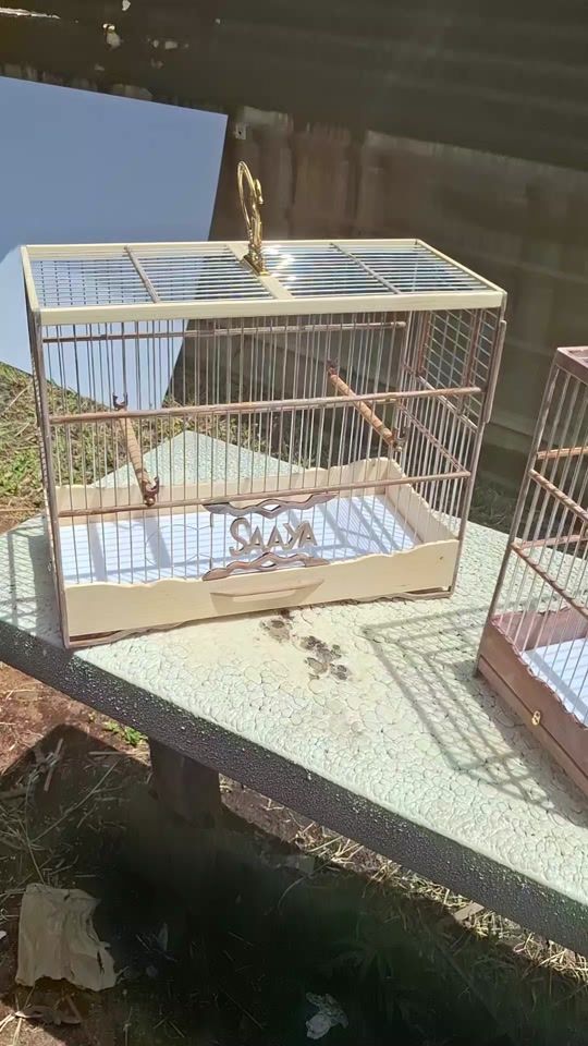TikTok video thumbnail by haabo.cage