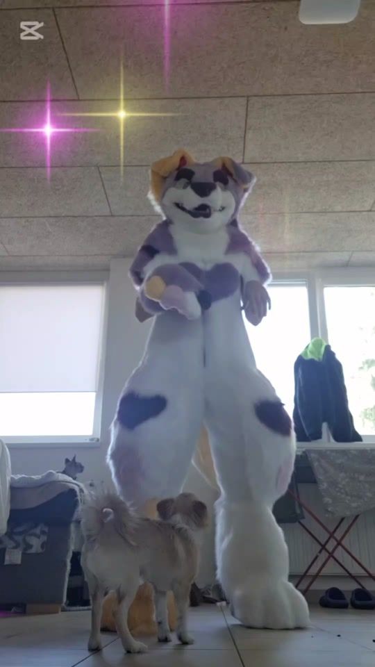 TikTok video thumbnail by lesleywulf