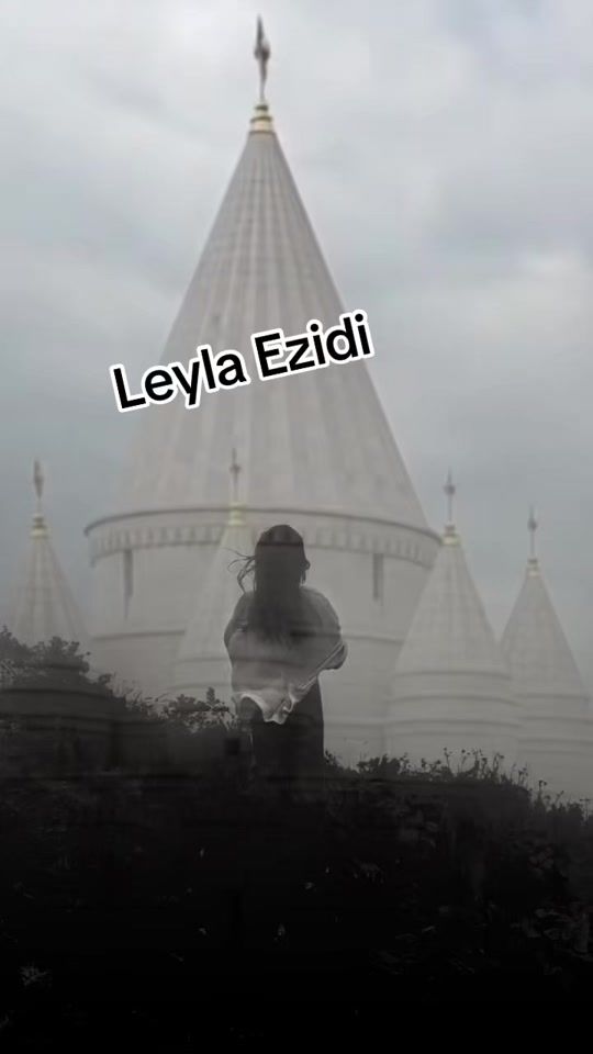 TikTok video thumbnail by leylaezdi.com