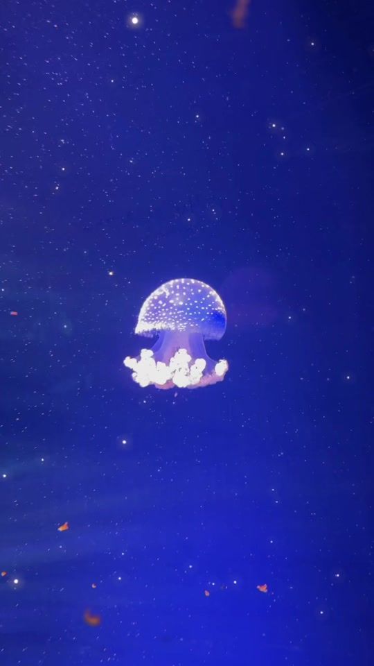 TikTok video thumbnail by ceyda_mumble