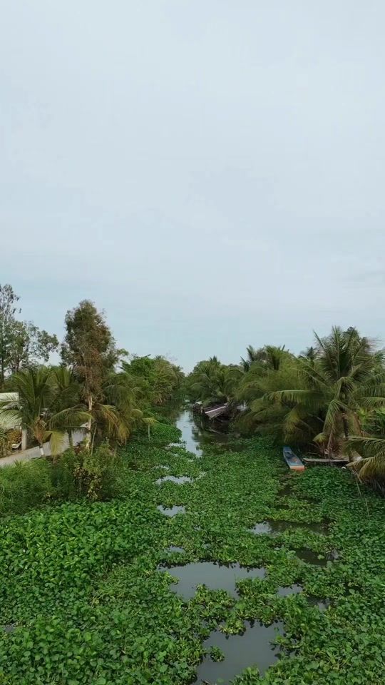 TikTok video thumbnail by mondi_mondi_