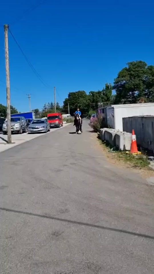 TikTok video thumbnail by mtmto03