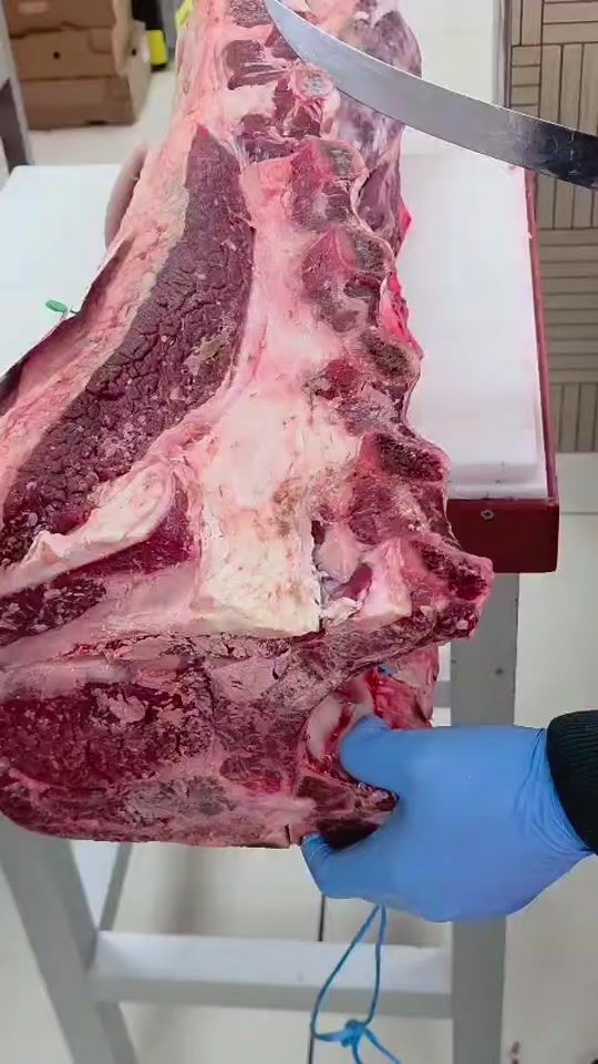 TikTok video thumbnail by passionecalabrese